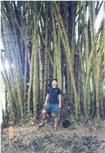 Jardim Botanico (Botanical Garden) (2)